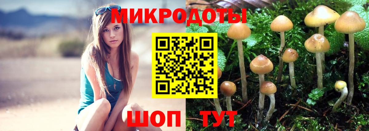 Галлюциногенные грибы Magic Shrooms  Псилоцибиновые грибы Psilocybe  Вход с VPN  Рыбинск 